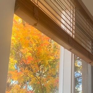 Meet your Posher, Claire